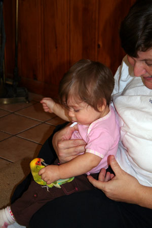img_2216 img_2216